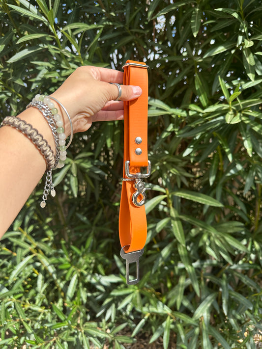 CEINTURE DE SÉCURITÉ VOITURE